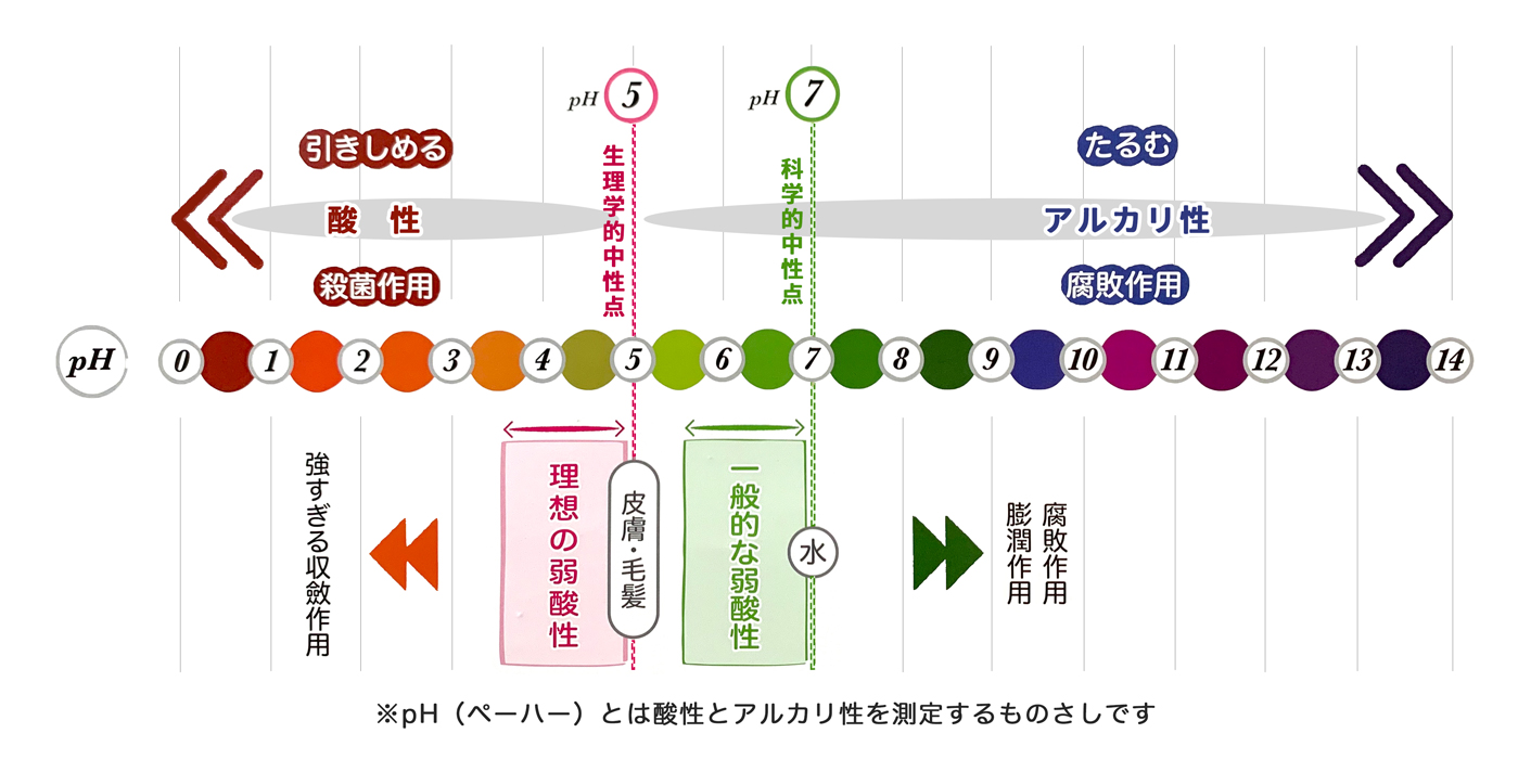 pHグラフ　頭皮や髪に近い5pHが理想と言われています